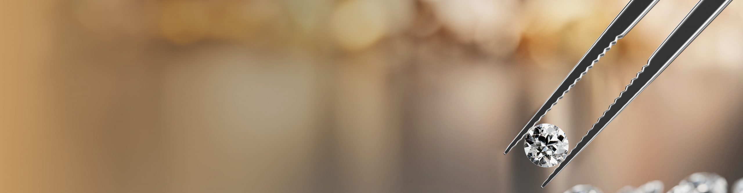 Inner Banner